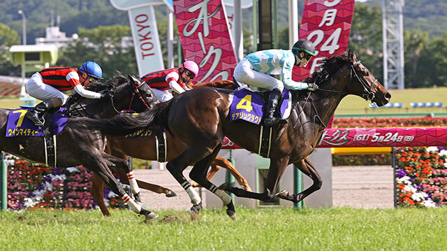 栄光の名馬たち　デアリングタクト
