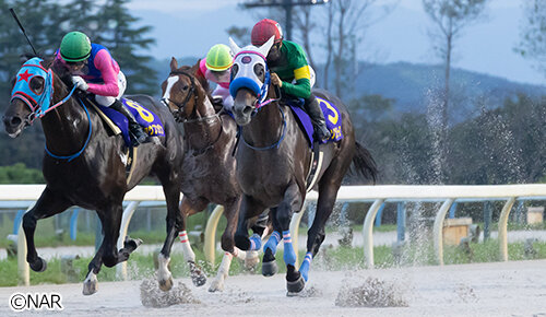 グリーンチャンネル地方競馬中継